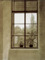 Fenster mit Parkpartie